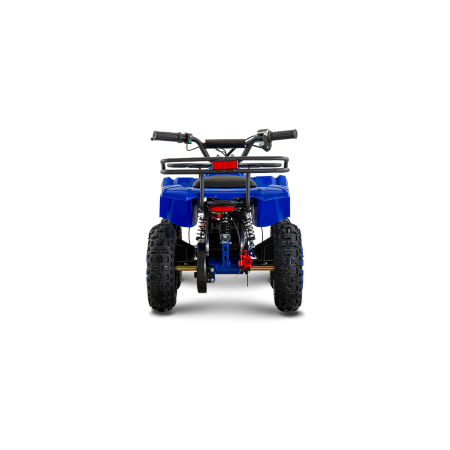 ATV RDB-FFL800, 800W, 36V12Ah, Albastru [5]