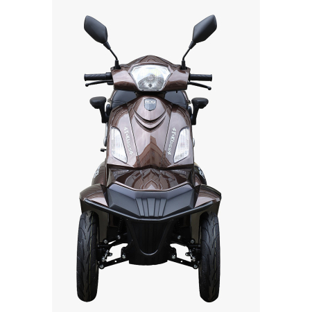 Scuter electric RDB 4T, 4 roti, 1000W, 60V si 25km/h, Albastru [9]