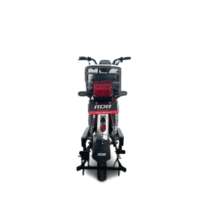 Scuter electric RDB Dunărea 450W, Albastru [6]