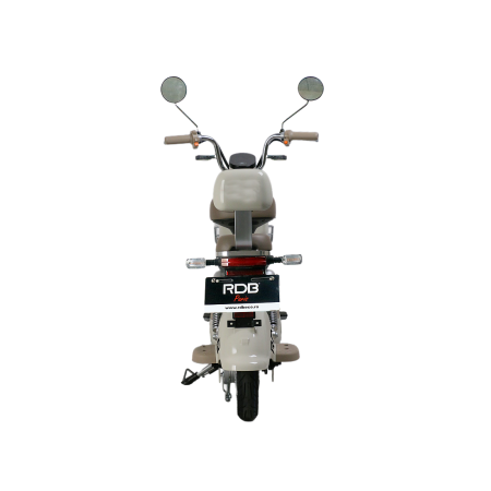 Scuter Electric RDB PARIS, 600W, fara permis, 48V 20Ah, 25km/h, Maro [12]