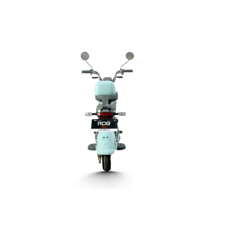Scuter Electric RDB PARIS, 600W, fara permis, 48V 20Ah, 25km/h, Maro [6]
