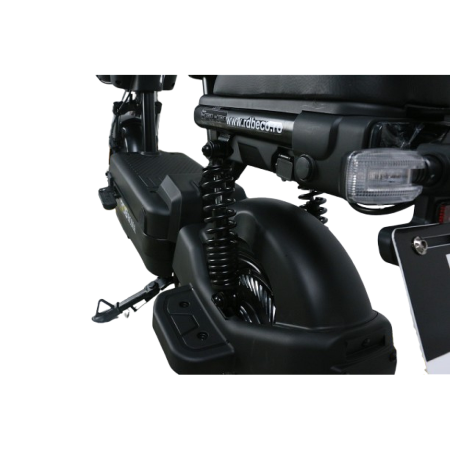 Scuter Electric RDB ROMA, 600W, fara permis, 25km/h, Gri [12]