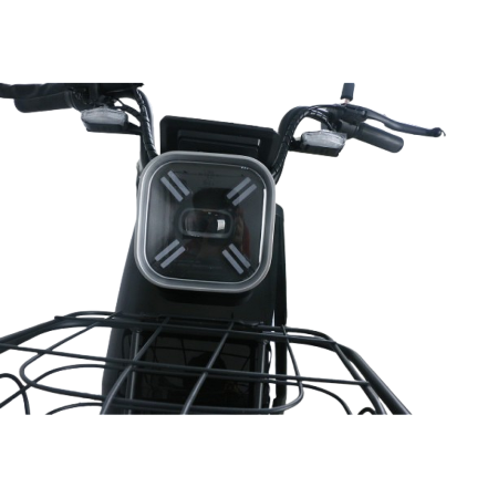 Scuter Electric RDB ROMA, 600W, fara permis, 25km/h, Gri [14]