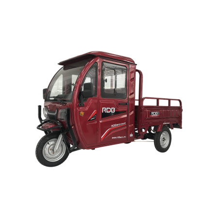 Triciclu electric, RDB MAX-Klass4, acoperis inchis, fara permis, 72V 32Ah, 4000W, 25km/h, Gri [12]
