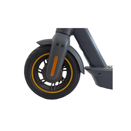 Trotineta electrica RDB LYS-028 MAX S, 350W, 2022 [1]