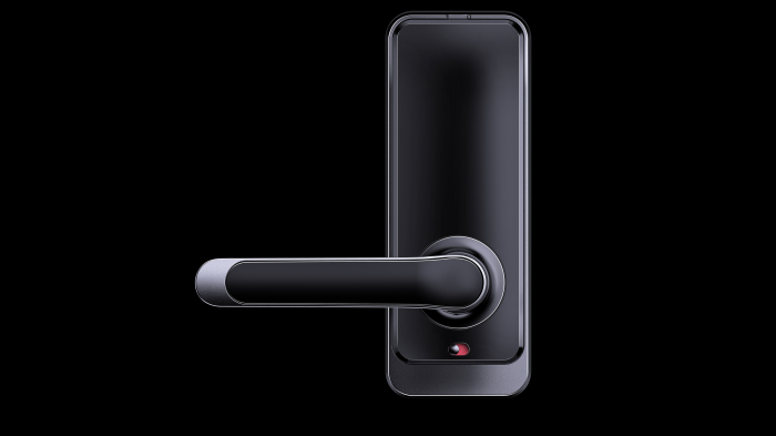 Yala smart mini lux Negru pentru apartamente regim hotelier, Booking, Airbnb [6]
