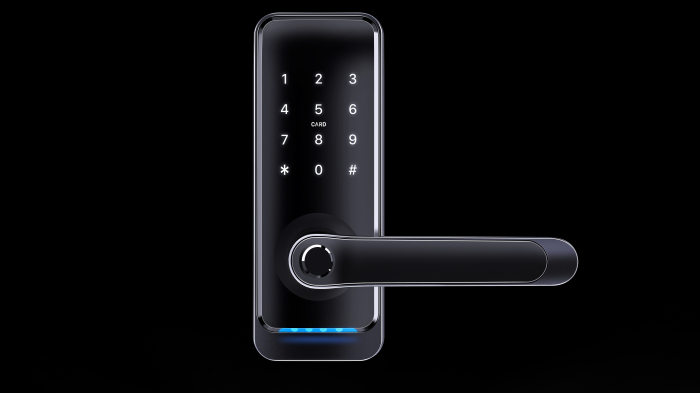 Yala smart mini lux Negru pentru apartamente regim hotelier, Booking, Airbnb [5]