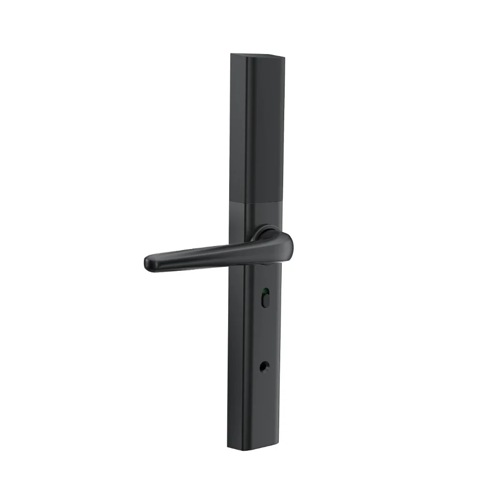 Incuietoare smart slim neagra cu amprenta, cod si card TTLock [2]