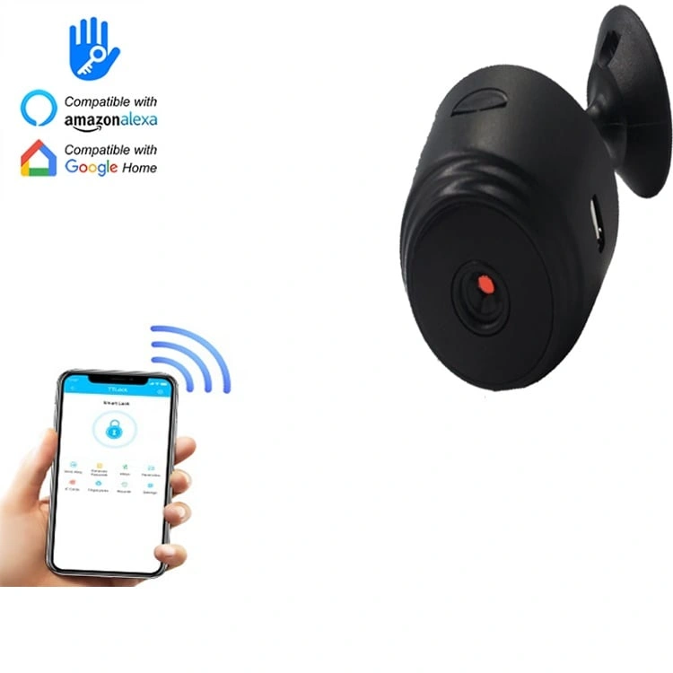 Accesorii incuietori smart - Camera mini smart cu WiFi 2.4GHz, compatibila cu aplicatia TTLock