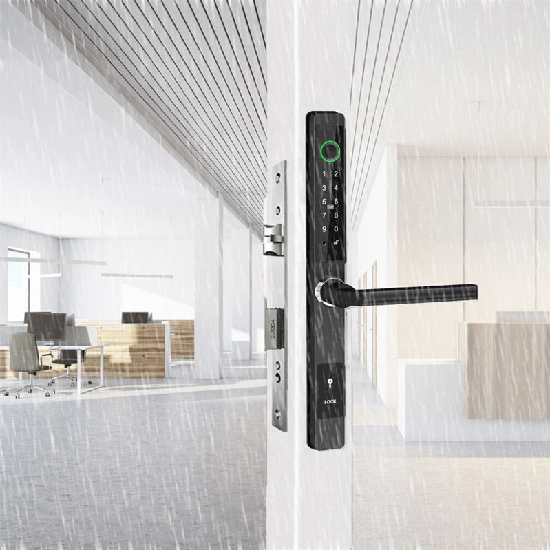 Yala smart ultraslim pentru usi termopan, control TTLock, negru [5]