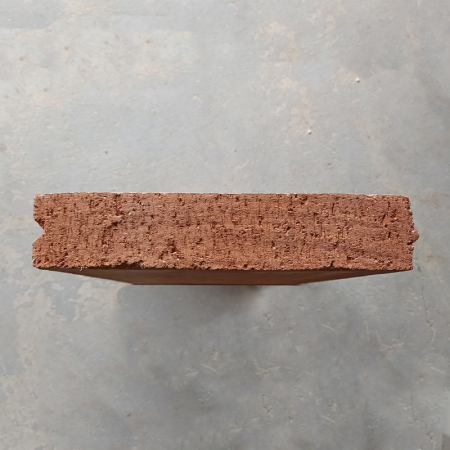 Placi samota Radeburg inchidere focar, nut si feder, 500 x 300 x 60 mm [2]
