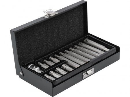 Unelte & Truse - SET BIȚI RIBE 15 PIESE