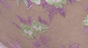 img-attr