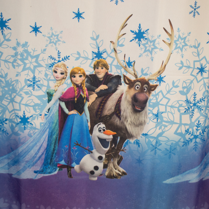 Set draperii Elsa, 2x170x252 cm [4]