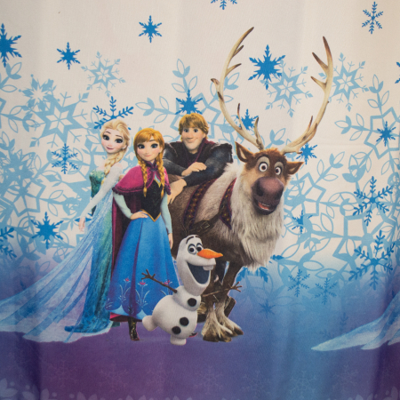 Set draperii Elsa, 2x170x252 cm [3]