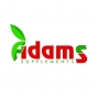 Adam's Vision
