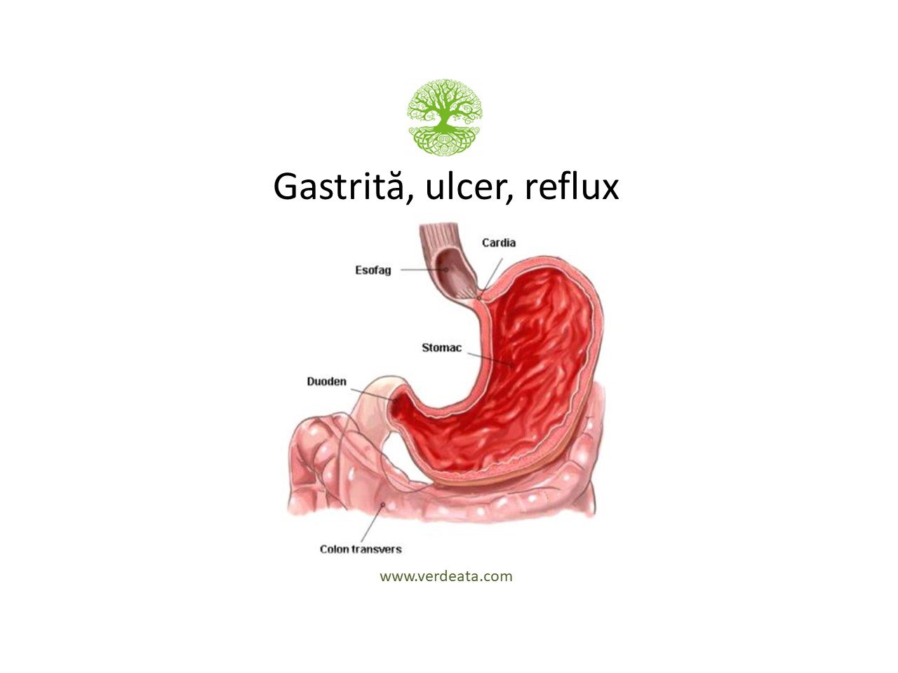 Gastrita, ulcer, reflux – 2-3 luni