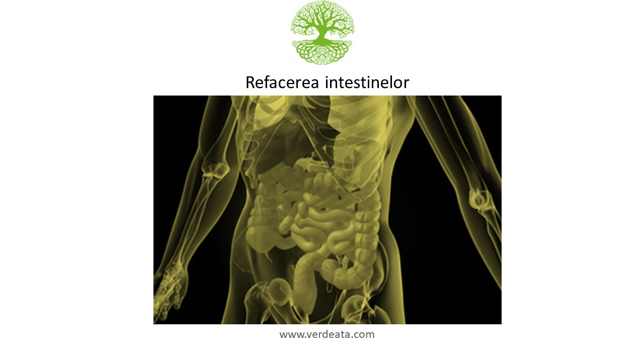 Refacerea intestinelor