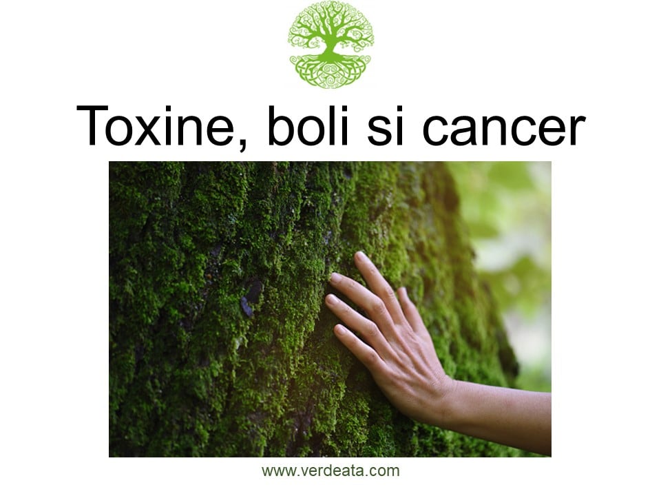 Toxine, boli si cancer