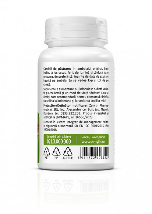 Chaga 500 mg [3]