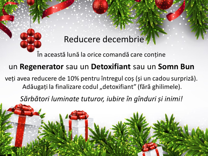 Reducerea lunii decembrie [1]