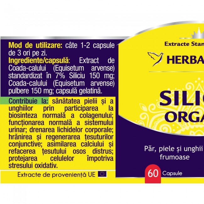 Siliciu organic 60 cps [3]