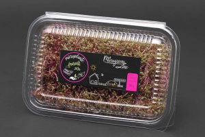 Suplimente nutritive - Amaranth Rosu - Microplante