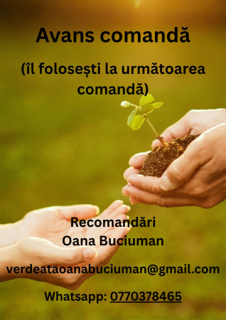 Avans comanda - Avans comanda