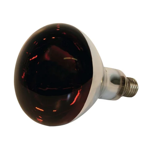 Bec infrarosu sticla groasa, Kerbl [1]
