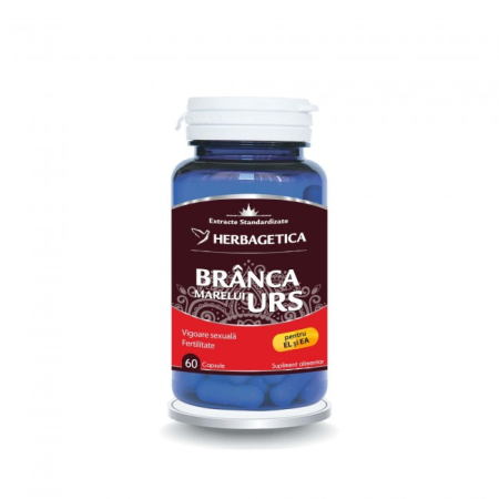 Branca ursului 60cps