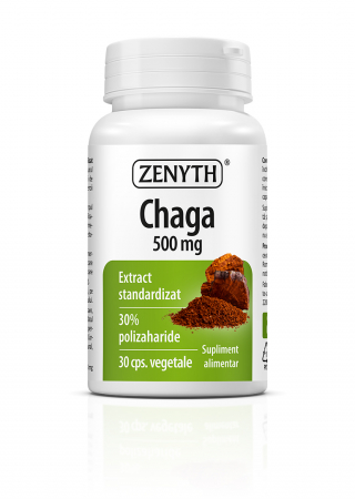 Suplimente nutritive - Chaga 500 mg