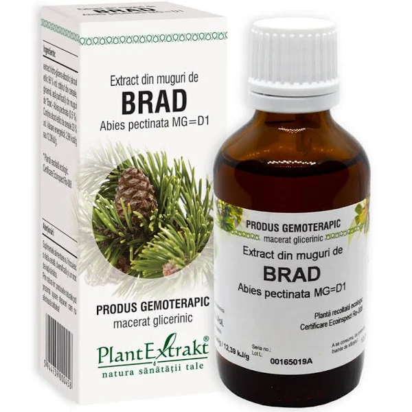 Extract din muguri de brad, 50ml