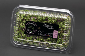Hrana, alimente - Gulie roz - Microplante