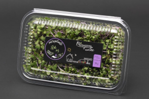 Hrana, alimente - Kale - Microplante