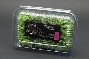 Hrana, alimente - Editie speciala - Broccoli, varza rosie, mustar - microplante