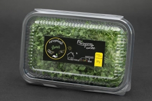 Hrana, alimente - Broccoli - microplante