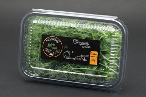 Hrana, alimente - Mazare verde - microplante