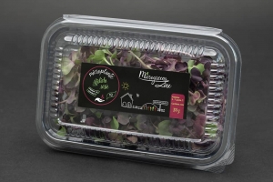 Hrana, alimente - Ridiche rosie - microplante
