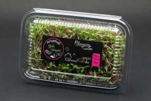 Hrana, alimente - Sfecla Mangold - microplante