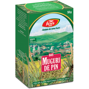 Suplimente nutritive - Muguri de pin, R45, ceai la pungă