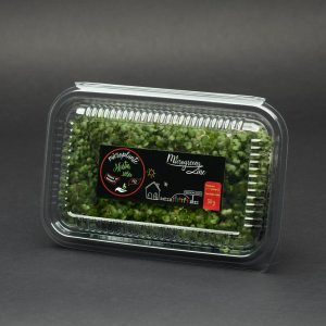 Suplimente nutritive - Mustar Rosu - Microplante