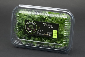 Hrana, alimente - Ridiche alba - microplante