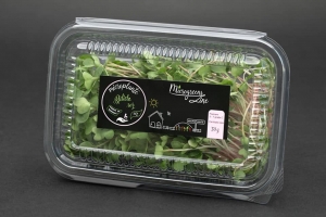 Hrana, alimente - Ridiche roz - microplante
