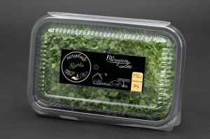 Hrana, alimente - Rucola - Microplante