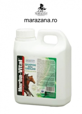 Cosmetice, ingrijire corp si casa - Sampon pentru cai Herba Vital 1 litru