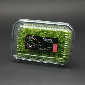 Suplimente nutritive - Trifoi Rosu - Microplante