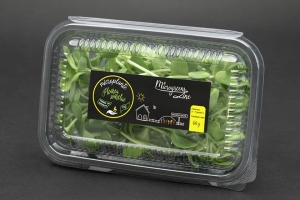 Hrana, alimente - Floarea-soarelui - microplante