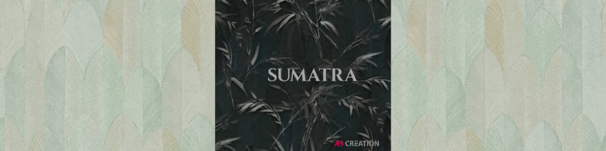 Catalog tapet Sumatra
