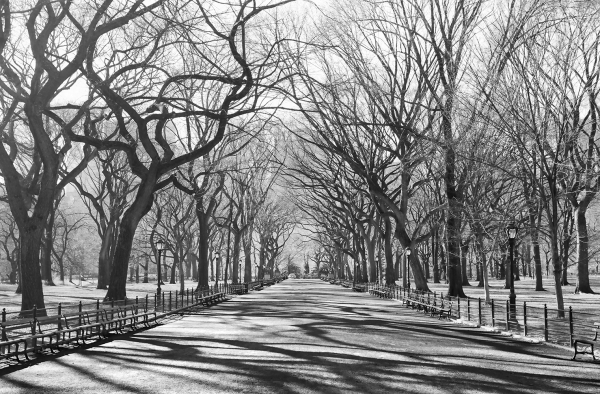 Fototapet 00607 Poteca poetilor New York [2]