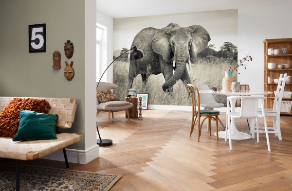 Fototapet XXL4-529 Elefant [2]